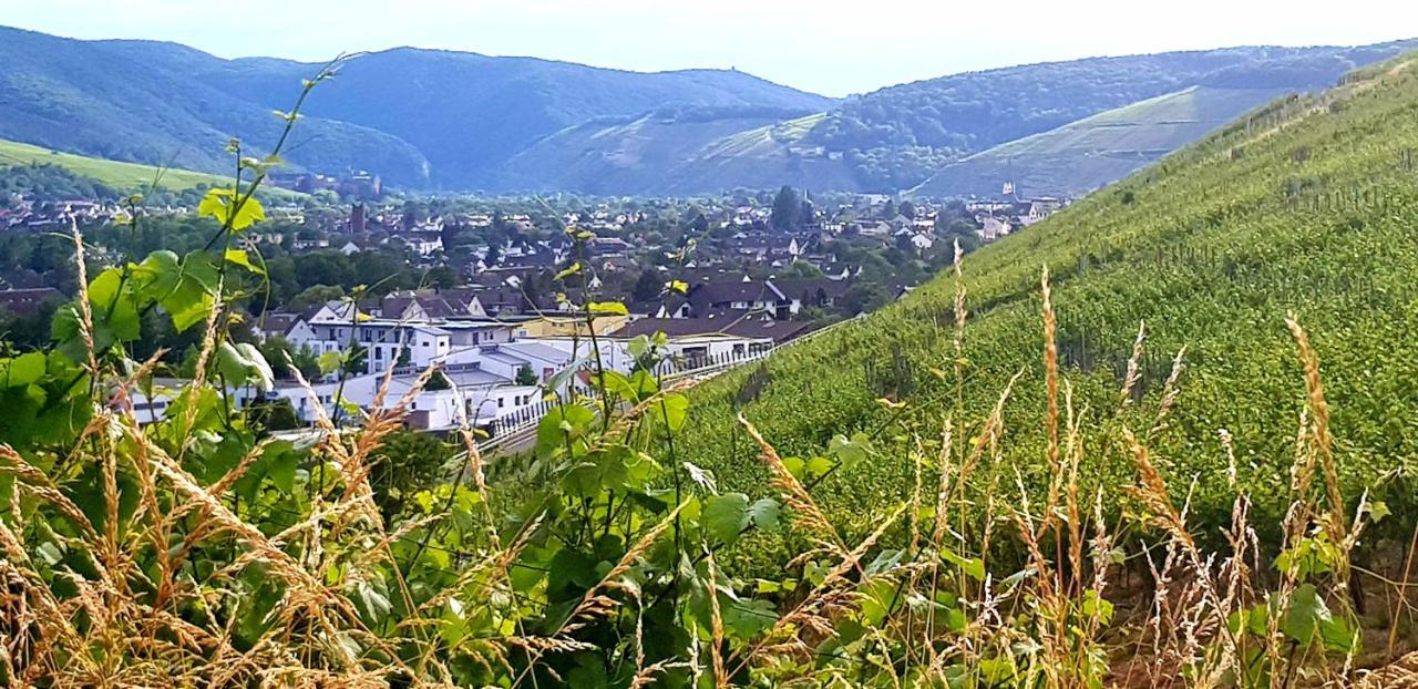 Apartment Ahrweiler Seelchen Bad Neuenahr-Ahrweiler