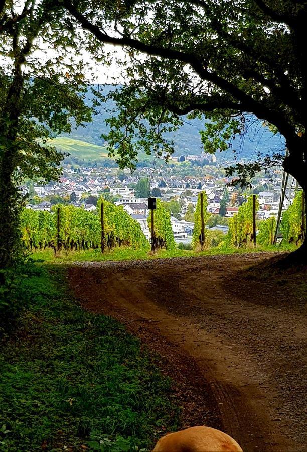 Ahrweiler Seelchen Bad Neuenahr-Ahrweiler